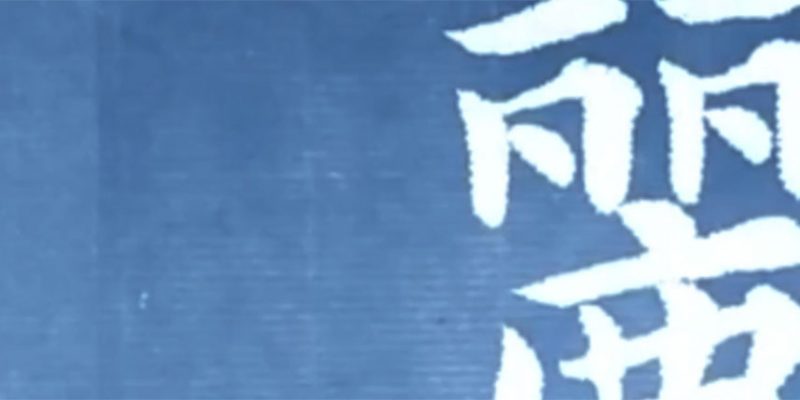 丽