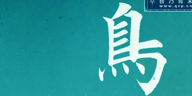 鸟