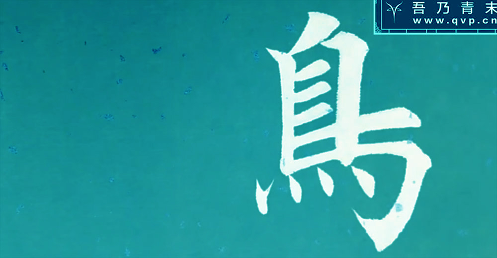鸟