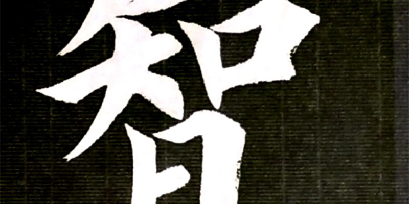 智