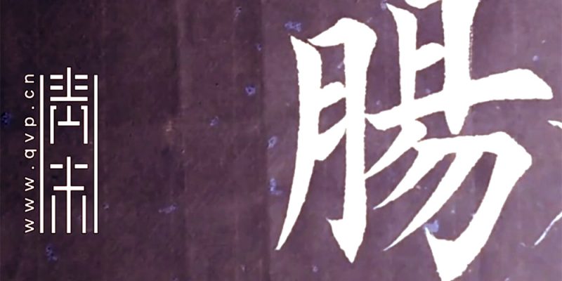 肠