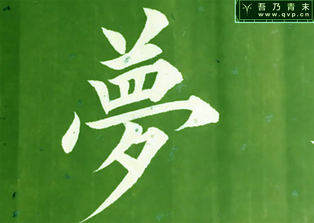 梦