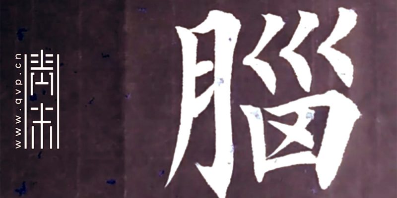 脑